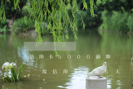 信用卡5000逾期兩個月還多少（5000額度信用卡逾期5天）