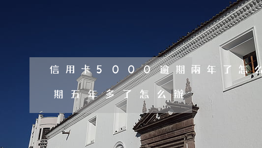 信用卡5000逾期兩年了怎么辦（信用卡逾期五年多了怎么辦）