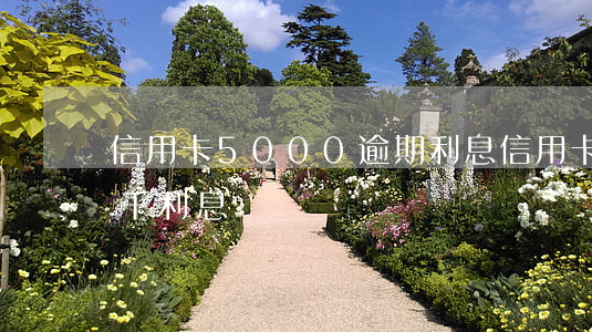 信用卡5000逾期利息（信用卡逾期本金五千利息兩萬）