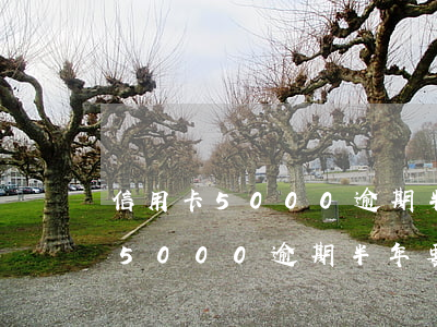 信用卡5000逾期半年上征信嗎-信用卡5000逾期半年要還多少