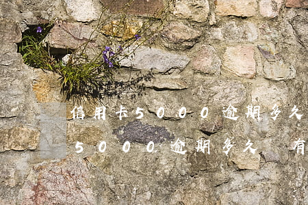 信用卡5000逾期多久會有傳票-信用卡5000逾期多久會有傳票信息