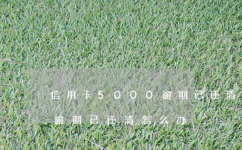 信用卡5000逾期已还清 信用卡5000逾期已还清怎么办