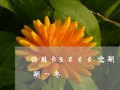 信用卡5000逾期幾年(信用卡1500逾期一年)