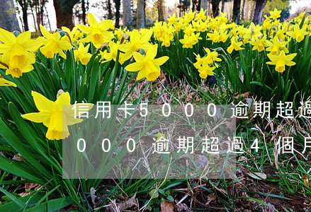 信用卡5000逾期超過4個月-信用卡5000逾期超過4個月會怎樣