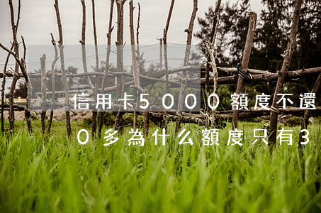 信用卡5000額度不還(信用卡還了5000多,為什么額度只有3000多)