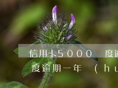 信用卡5000額度逾期(信用卡5000額度逾期一年會(huì)被起訴嗎)