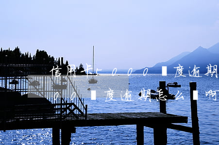 信用卡5000額度逾期怎么辦(信用卡5000額度逾期怎么辦啊)