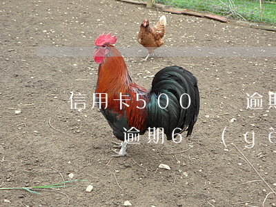 信用卡500塊錢逾期半年(信用卡1000塊錢逾期6個(gè)月)