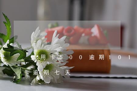 信用卡500逾期101天(信用卡100塊逾期七天)