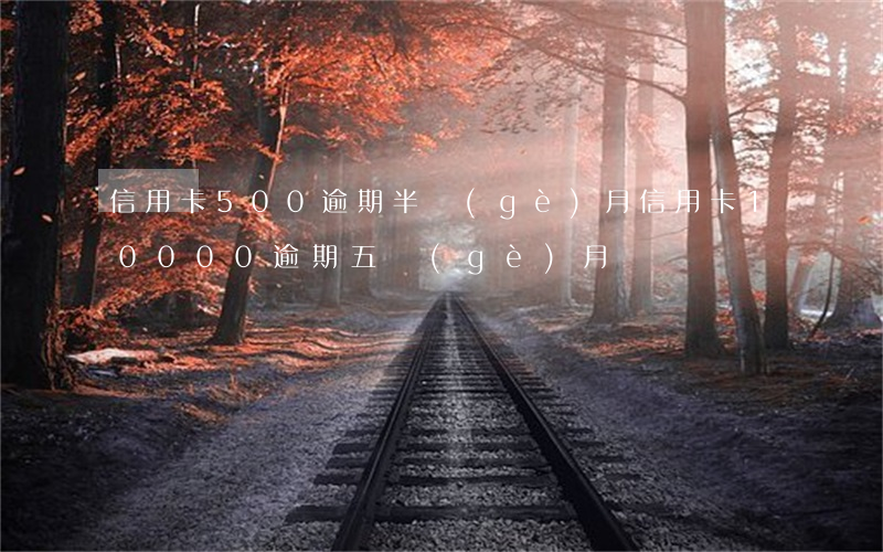 信用卡500逾期半個(gè)月(信用卡10000逾期五個(gè)月)