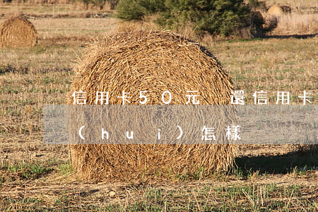 信用卡50元沒還（信用卡50元逾期半年會(huì)怎樣）