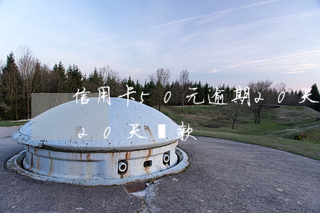 信用卡50元逾期20天(信用卡50元逾期20天還款)