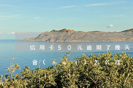 信用卡50元逾期了幾天(信用卡逾期25天會(huì)怎么樣)