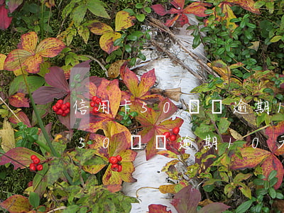 信用卡50塊錢逾期10天有事沒-信用卡50塊錢逾期10天有事沒事吧