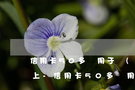 信用卡50多萬用于經(jīng)營還不上-信用卡50多萬用于經(jīng)營還不上會怎么樣