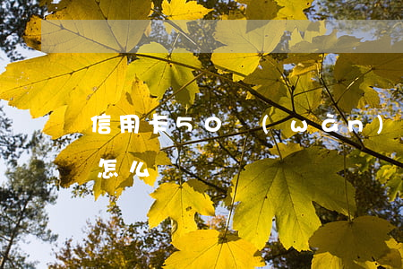 信用卡50萬(wàn)無(wú)力償還怎么辦