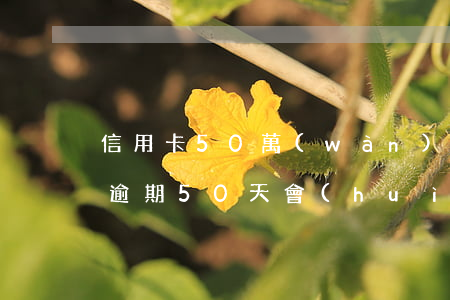 信用卡50萬(wàn)逾期判幾年(信用卡逾期50天會(huì)有什么后果)