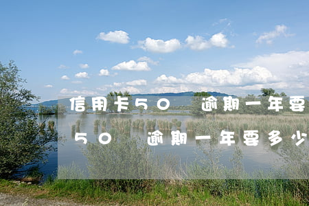 信用卡50萬逾期一年要多少利息-信用卡50萬逾期一年要多少利息呢