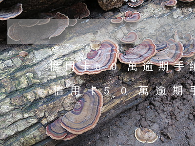 信用卡50萬逾期手續(xù)費多少錢-信用卡50萬逾期手續(xù)費多少錢啊