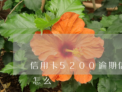 信用卡5200逾期(信用卡57000逾期怎么辦)