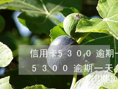 信用卡5300逾期一天多少利息-信用卡5300逾期一天多少利息啊