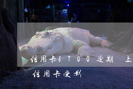 信用卡5700逾期會上征信嗎(逾期上征信信用卡受影響)