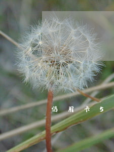 信用卡5w不還會怎么樣