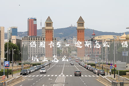 信用卡5w逾期怎么辦(信用卡逾期金額5萬以上怎么辦)
