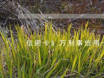 信用卡5万刑事 信用卡5万判刑多少年