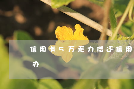 信用卡5万无力偿还(信用卡5万多还不起咋办)
