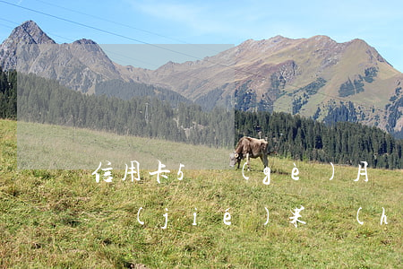 信用卡5個(gè)月沒(méi)有還了結(jié)果會(huì)怎么樣-信用卡5個(gè)月沒(méi)有還了結(jié)果會(huì)怎么樣呢