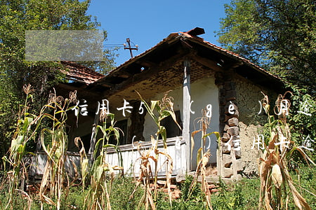 信用卡5個(gè)月逾期狀態(tài)（興業(yè)信用卡逾期5個(gè)月怎么處理）