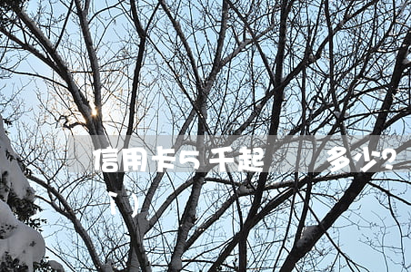 信用卡5千起訴費多少？了解費用明細(xì)