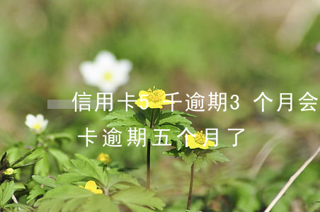 信用卡5千逾期3个月会有什么后果?（我信用卡逾期五个月了）