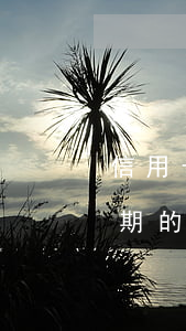 信用卡5千逾期多久會被起訴（信用卡五千逾期的利息）