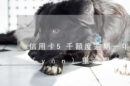 信用卡5千額度逾期一年(信用卡五千額度嚴(yán)重逾期會有什么后果)