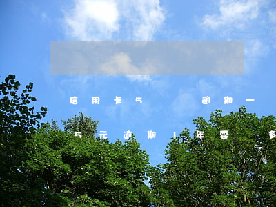 信用卡5塊錢逾期一個星期了怎么辦（信用卡5元逾期1年要還多少）
