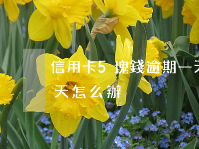 信用卡5塊錢逾期一天(信用卡5塊錢逾期一天怎么辦)