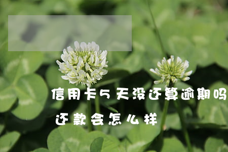 信用卡5天没还算逾期吗（信用卡逾期5年未还款会怎么样）