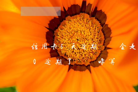 信用卡5天逾期違約金是多少(信用卡5000逾期了違約咋算)