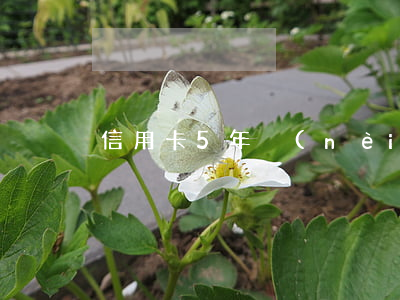 信用卡5年內(nèi)23個月逾期