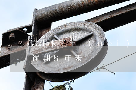 信用卡5年內(nèi)8個月逾期（信用卡逾期8年未還）