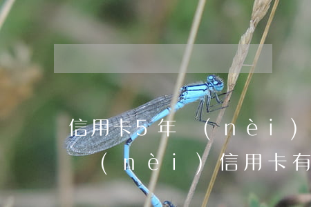 信用卡5年內(nèi)可以逾期多次(五年內(nèi)信用卡有一次逾期)