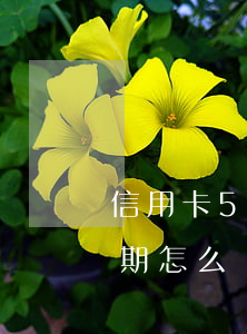 信用卡5年內(nèi)嚴(yán)重逾期怎么處理