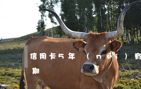 信用卡5年內(nèi)有43個月處于逾期