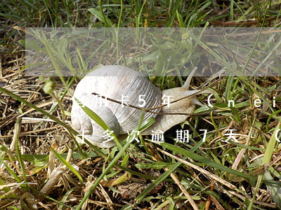 信用卡5年內(nèi)有7個月逾期（信用卡多次逾期7天內(nèi)）