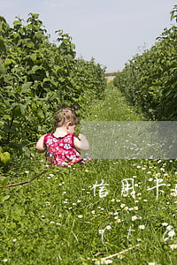 信用卡5年內(nèi)有9個月逾期狀態(tài)（信用卡39逾期兩年）