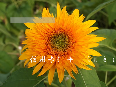 信用卡5年內(nèi)有一次逾期的影響-