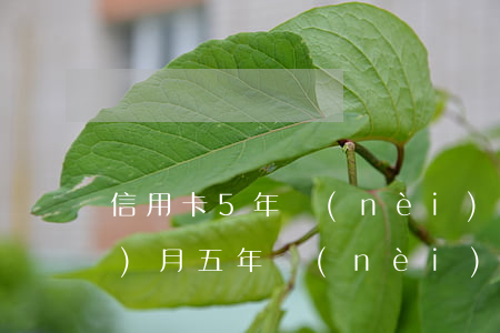 信用卡5年內(nèi)逾期54個(gè)月(五年內(nèi)信用卡逾期10次但兩年內(nèi)無(wú)逾期)