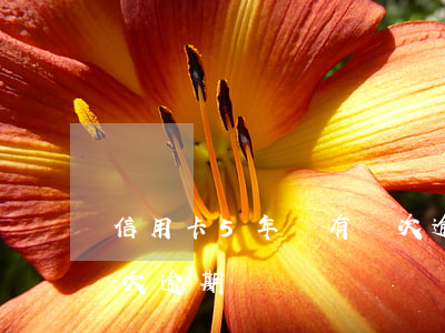 信用卡5年內有幾次逾期（信用卡5年內有幾次逾期）